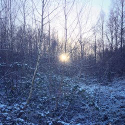 Wintersonne